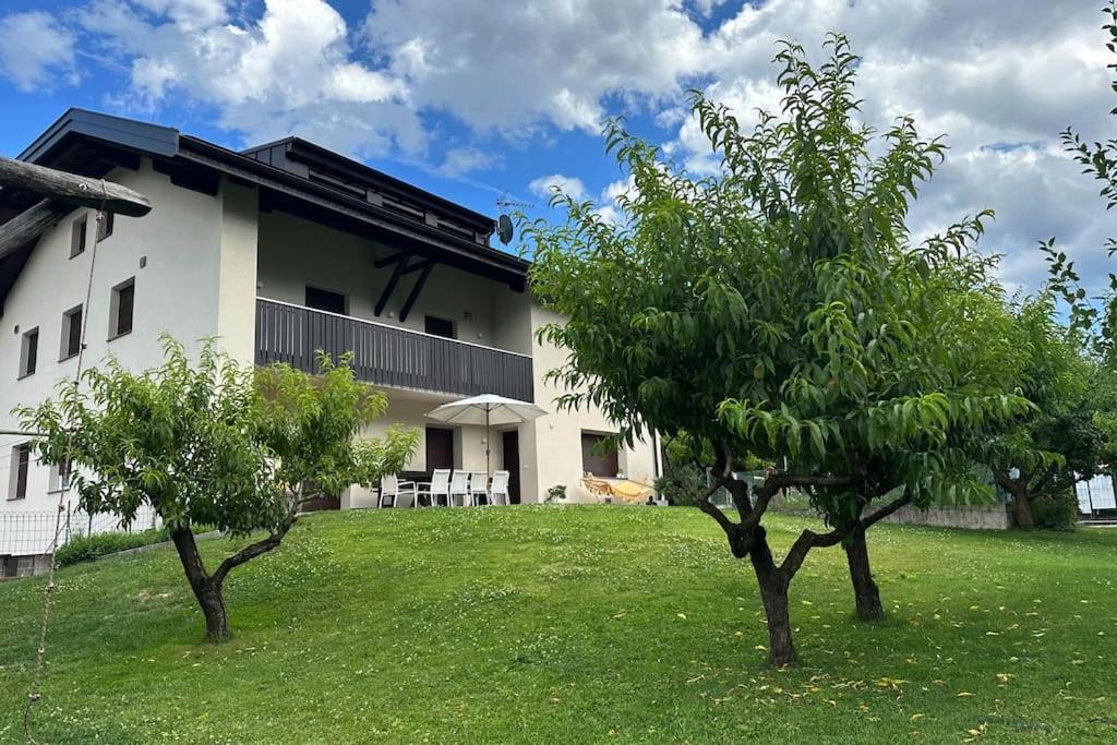 Haus Hafner Sonniges Apartment Terlan Exterior foto